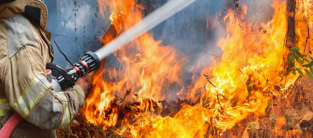 firefighters spray water to wildfire
